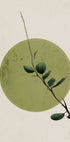 Green Serenity Circle Plakat - Posterbox