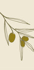 Olivebranchno04 (NEW) - Posterbox