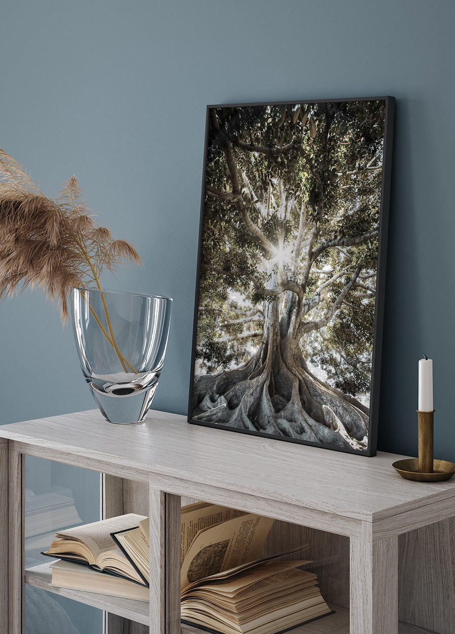 Tree with Large Roots Plakat - Posterbox.dk