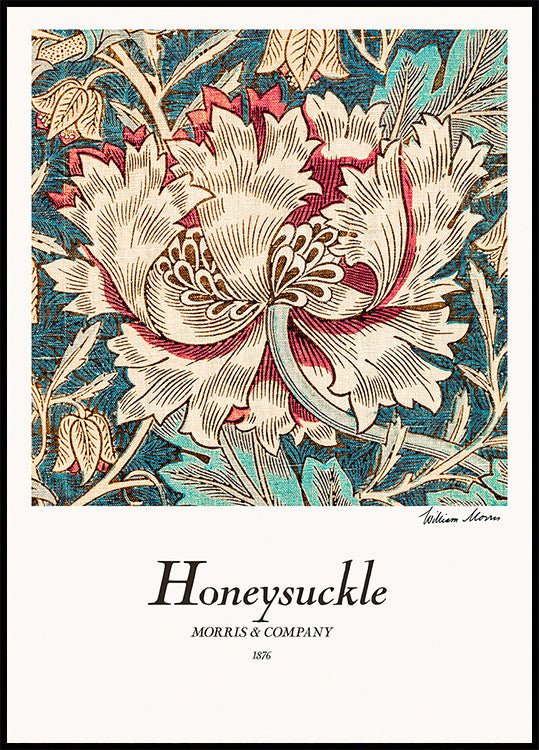Honeysuckle Plakat - Posterbox