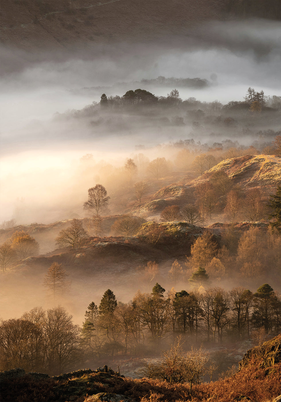 Póster Maravilloso amanecer de otoño 