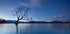 Wanaka Twilight - Posterbox