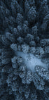 Texture of the forest Plakat - Posterbox
